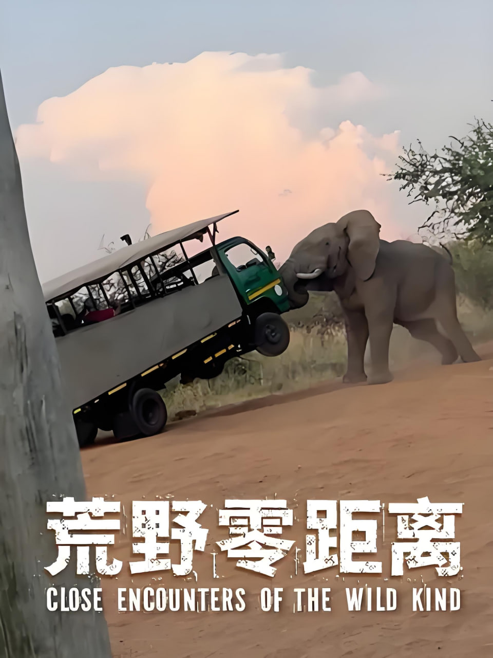 漫长的季节